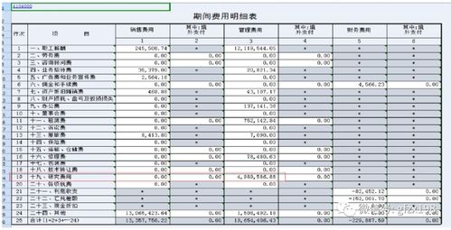 高新技術(shù)企業(yè)財(cái)務(wù)核算指引干貨分享