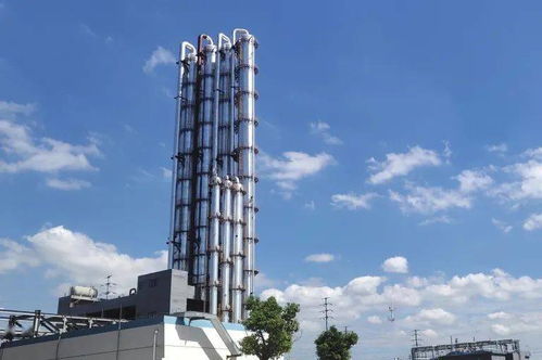 強(qiáng)化企業(yè)創(chuàng)新主體地位 壯大高新技術(shù)產(chǎn)業(yè)集群